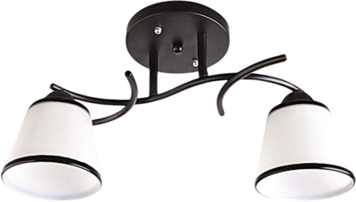 Потолочный светильник Aitin-Pro НПБ 02-2x60-101 / 1498/2 - фото