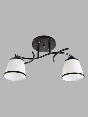 Потолочный светильник Aitin-Pro НПБ 02-2x60-101 / 1498/2