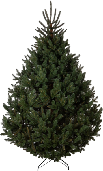 Сосна искусственная GreenTerra Босния - фото