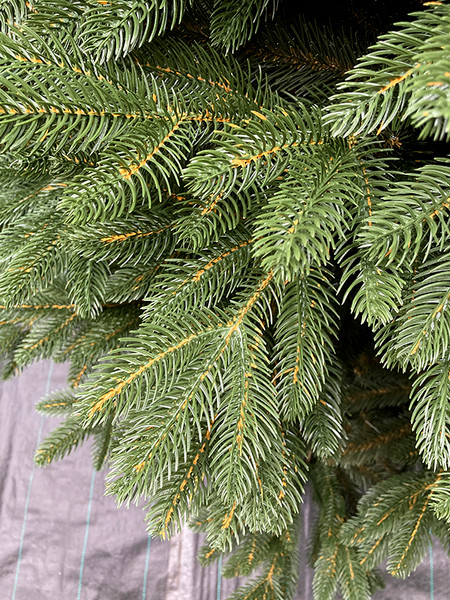 Сосна искусственная GreenTerra Босния