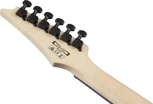 Электрогитара Ibanez GRG120QASP-BGD