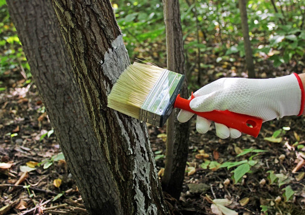 Кисть малярная Decor 140х40мм / 745-014