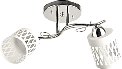 Потолочный светильник Aitin-Pro НПБ 02-2x60-101 / 8268/2 - фото