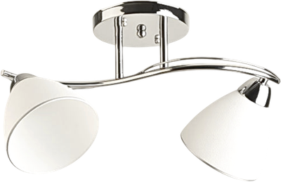 Потолочный светильник Aitin-Pro НПБ 02-2x60-101 / 8207/2 - фото