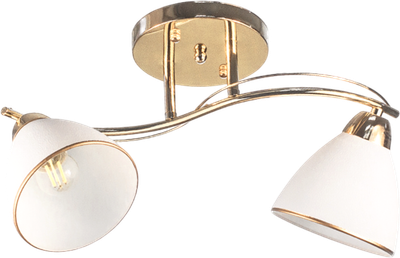 Потолочный светильник Aitin-Pro НПБ 02-2x60-101 / 8206/2 - фото