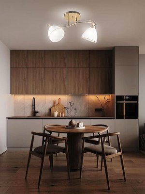 Потолочный светильник Aitin-Pro НПБ 02-2x60-101 / 8206/2