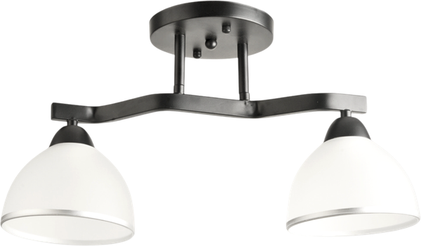 Потолочный светильник Aitin-Pro НПБ 02-2x60-101 / 8205/2 - фото