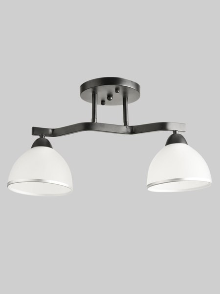 Потолочный светильник Aitin-Pro НПБ 02-2x60-101 / 8205/2