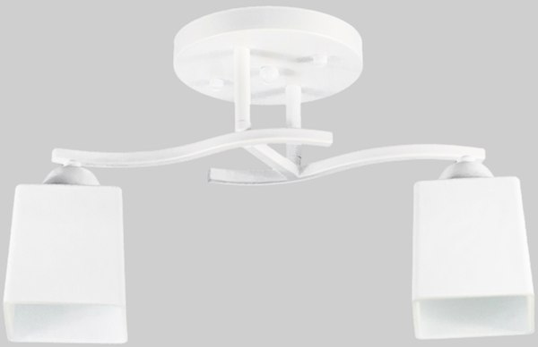 Потолочный светильник Aitin-Pro НПБ 02-2x60-101 / 7603/2 - фото