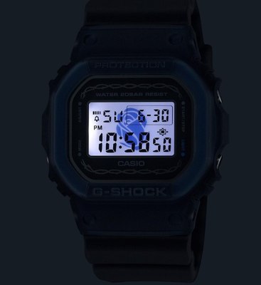 Часы наручные мужские Casio DW-5600RS-8E