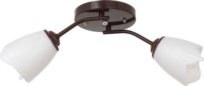 Потолочный светильник BayerLux Оникс 4533457 - фото