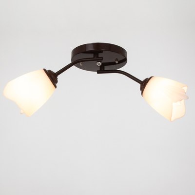 Потолочный светильник BayerLux Оникс 4533457