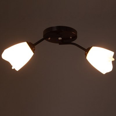 Потолочный светильник BayerLux Оникс 4533457