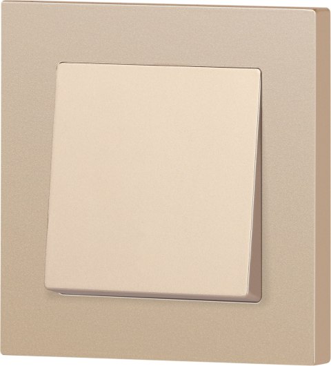 Выключатель INTRO Accent 6-103-04 / Б0063461