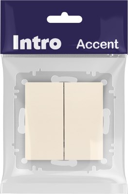 Выключатель INTRO Accent 6-107-02 / Б0063558