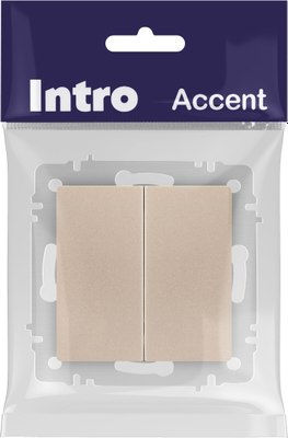 Выключатель INTRO Accent 6-107-04 / Б0063562