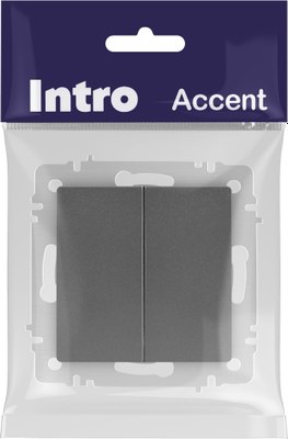 Выключатель INTRO Accent 6-107-07 / Б0063568