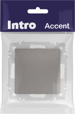 Выключатель INTRO Accent 6-108-09 / Б0063596