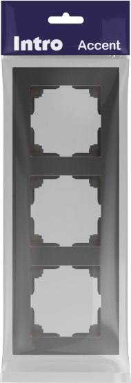 Рамка для выключателей и розеток INTRO Accent 6-503-07 / Б0063791