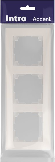 Рамка для выключателей и розеток INTRO Accent 6-503-06 / Б0063789