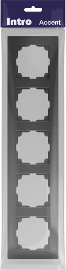 Рамка для выключателей и розеток INTRO Accent 6-505-07 / Б0063733
