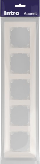 Рамка для выключателей и розеток INTRO Accent 6-505-06 / Б0063731