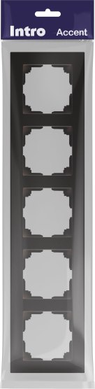 Рамка для выключателей и розеток INTRO Accent 6-505-05 / Б0063728