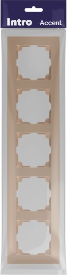 Рамка для выключателей и розеток INTRO Accent 6-505-04 / Б0063726