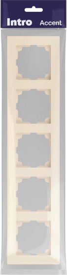 Рамка для выключателей и розеток INTRO Accent 6-505-02 / Б0063774