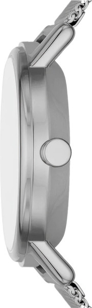 Часы наручные женские Skagen SKW3100