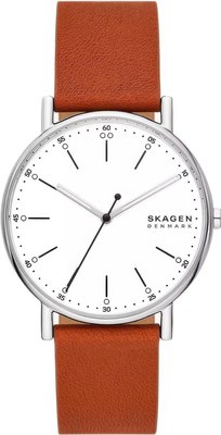 Часы наручные мужские Skagen SKW6903 - фото