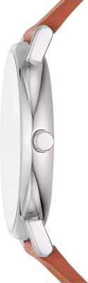Часы наручные мужские Skagen SKW6903