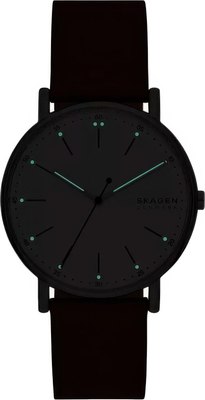 Часы наручные мужские Skagen SKW6903