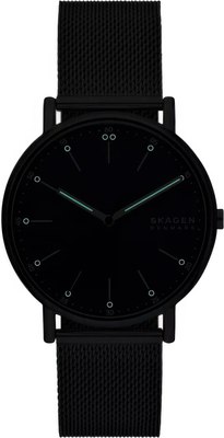 Часы наручные мужские Skagen SKW6904