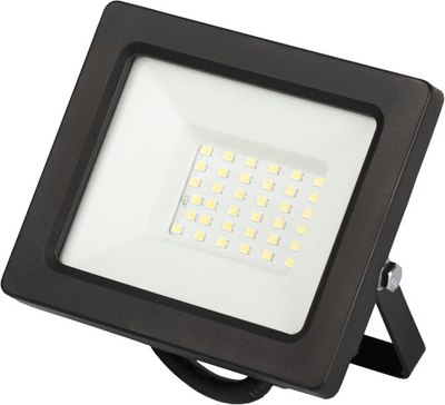 Прожектор ЭРА LPR-042-3-65K-030 / Б0064443 - фото