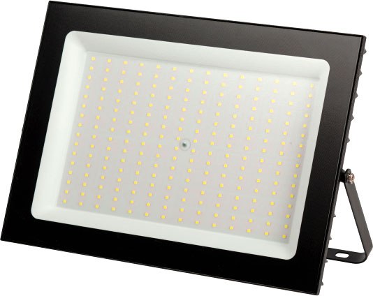 Прожектор ЭРА Pro LPR-062-0-65K-300 / Б0065943 - фото