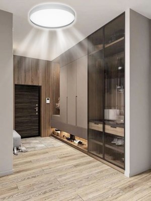 Потолочный светильник Aitin-Pro HY61158