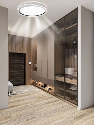 Потолочный светильник Aitin-Pro HY61260