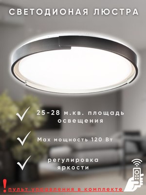 Потолочный светильник Aitin-Pro HY61316