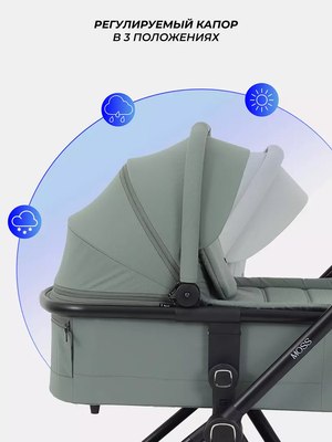 Детская универсальная коляска Rant Moss 2 в 1 / RA321