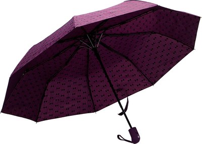 Зонт складной Rain Berry 734-0308.1 - фото