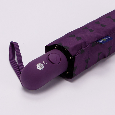 Зонт складной Rain Berry 734-0308.1