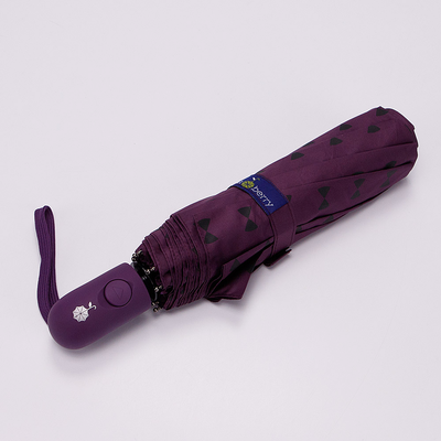 Зонт складной Rain Berry 734-0308.1