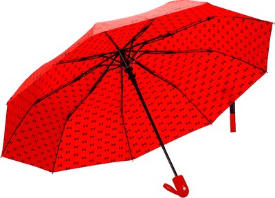 Зонт складной Rain Berry 734-0308.2 - фото