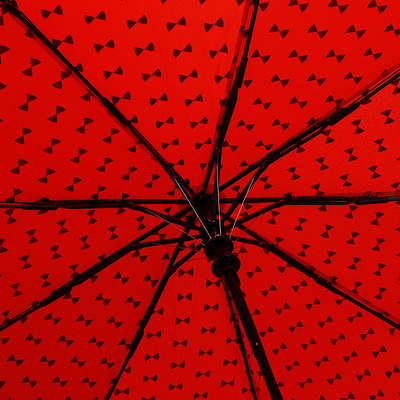 Зонт складной Rain Berry 734-0308.2