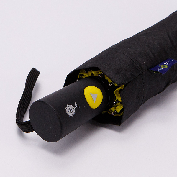 Зонт складной Rain Berry 734-1306.1