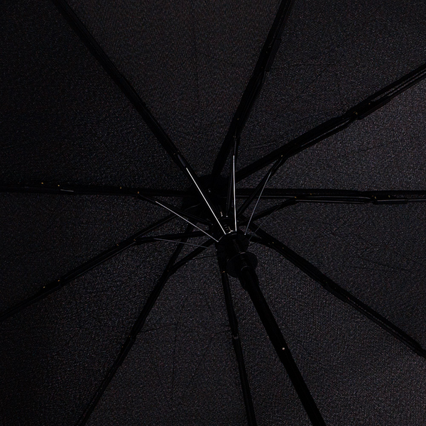 Зонт складной Rain Berry 734-1306.2