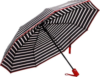 Зонт складной Rain Berry 734-1310.1 - фото