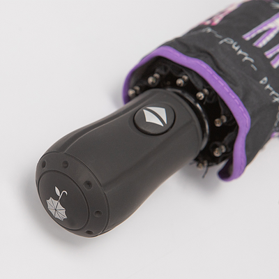 Зонт складной Rain Berry 734-21326.2