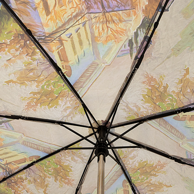 Зонт складной Rain Berry Машины / 739-237.1